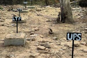 WhatsApp Image 2026-04-09 at 7.07.13 PM (2)